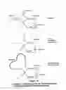 Fig. 42 - Property effecting and/or property exhibiting compositions for therapeutic and diagnostic uses