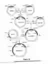 Fig. 48 - Property effecting and/or property exhibiting compositions for therapeutic and diagnostic uses