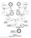Fig. 49 - Property effecting and/or property exhibiting compositions for therapeutic and diagnostic uses