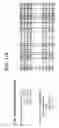 Fig. 13 - Matriptase, a serine protease and its applications