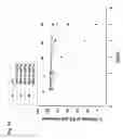 Fig. 02 - Methods and products for embryonic stem cell culture