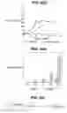 Fig. 07 - Directed Neural Differentiation