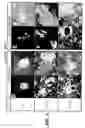 Fig. 08 - Directed Neural Differentiation