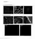 Fig. 08 - Self-assembling peptide amphiphiles for tissue engineering