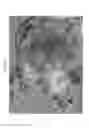 Fig. 05 - Complexes of hyaluronans, other matrix components, hormones and growth factors for maintenance, expansion and/or differentiation of cells