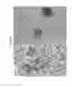 Fig. 19 - Complexes of hyaluronans, other matrix components, hormones and growth factors for maintenance, expansion and/or differentiation of cells