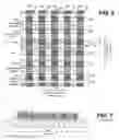 Fig. 04 - Methods of fabricating non-volatile memory with integrated peripheral circuitry and pre-isolation memory cell formation