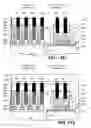 Fig. 17 - Methods of fabricating non-volatile memory with integrated peripheral circuitry and pre-isolation memory cell formation