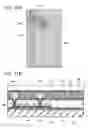 Fig. 12 - Method for manufacturing semiconductor substrate