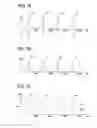 Fig. 08 - Eyeglass lens processing apparatus