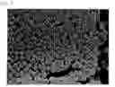 Fig. 03 - Polishing Slurry