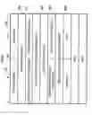 Fig. 07 - Radio communication method and radio communication device