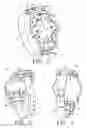 Fig. 03 - Watch-like cell phone