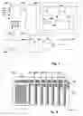 Fig. 04 - Apparatus for Decreasing the Circulation of Money of Small Denominations, Arrangement and Method for Drawing Lots