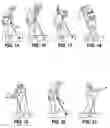 Fig. 11 - Golf training aid