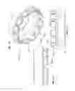 Fig. 98 - Continuously variable transmission