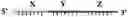 Fig. 02 - Hybridization method