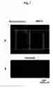 Fig. 08 - Method of Immobilizing Protein, Protein Chip, Method of Immobilizing Cell and Cell Chip