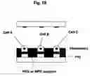 Fig. 19 - Method of Immobilizing Protein, Protein Chip, Method of Immobilizing Cell and Cell Chip