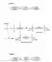 Fig. 02 - Polycationic viscoelastic compositions