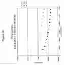 Fig. 09 - Polycationic viscoelastic compositions