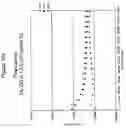 Fig. 11 - Polycationic viscoelastic compositions