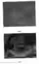 Fig. 16 - Polycationic viscoelastic compositions