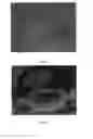 Fig. 16 - Polycationic viscoelastic compositions