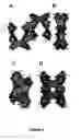 Fig. 56 - Method of modulating cell survival, differentiation and/or synaptic plasticity