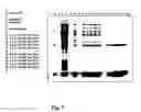 Fig. 02 - Method of purification of hydrophobic proteins