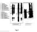 Fig. 06 - Method of purification of hydrophobic proteins