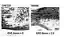 Fig. 01 - CHEC-7 a novel sPLA2 inhibitor