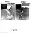 Fig. 03 - CHEC-7 a novel sPLA2 inhibitor