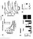Fig. 06 - CHEC-7 a novel sPLA2 inhibitor
