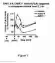 Fig. 08 - CHEC-7 a novel sPLA2 inhibitor