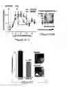 Fig. 11 - CHEC-7 a novel sPLA2 inhibitor