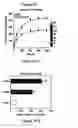 Fig. 15 - CHEC-7 a novel sPLA2 inhibitor