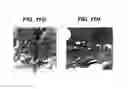 Fig. 19 - Methods for Treating Skin Pigmentation