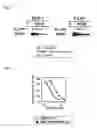 Fig. 03 - Antagonist Against Tolerance to Anticancer Drugs