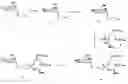 Fig. 01 - Synthetic molecules having immune activity
