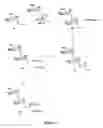 Fig. 05 - Synthetic molecules having immune activity