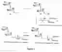 Fig. 06 - Synthetic molecules having immune activity
