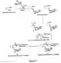 Fig. 08 - Synthetic molecules having immune activity