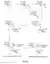 Fig. 09 - Synthetic molecules having immune activity