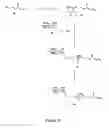 Fig. 11 - Synthetic molecules having immune activity
