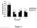 Fig. 12 - Synthetic molecules having immune activity