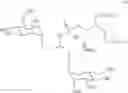 Fig. 17 - Synthetic molecules having immune activity