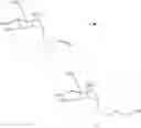 Fig. 30 - Synthetic molecules having immune activity