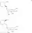 Fig. 33 - Synthetic molecules having immune activity