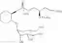 Fig. 56 - Synthetic molecules having immune activity